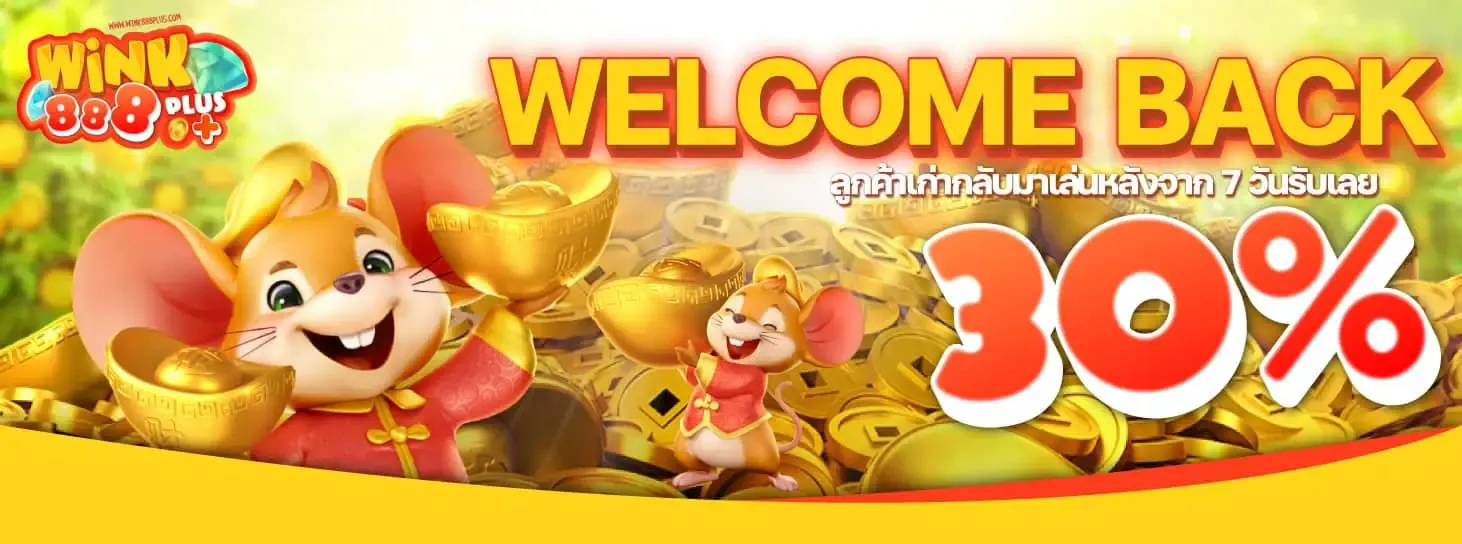 วิ้ง888 ทางเข้าเล่น